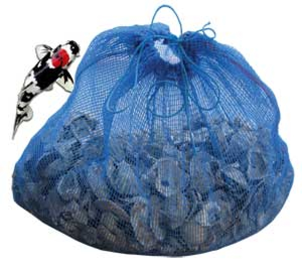 Austernschalen Filtermedium