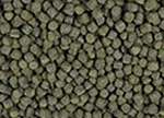 Color Koifutter ( Spirulina )